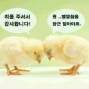 53동창 송년의밤 개최 현수막 이미지