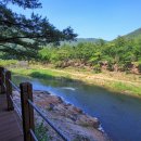 백화산호국의길 이미지