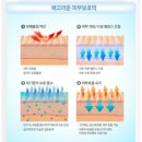 숲칼프 장안동점