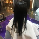 인살롱(In salon)