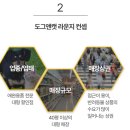 라운지 도그 이미지