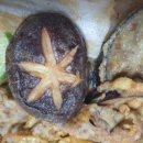 현이네전집 | 전주 인후동 현이네 전집 모둠전 배달후기by.블러썸