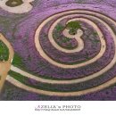 신소양체육공원1 이미지