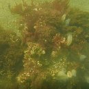 덕산매립장 이미지