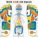 발건강 이미지