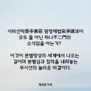 분별심과 집착을 내려놓는 놀라운 비결 이미지