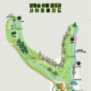 양평숲 비룡캠프장 이미지