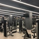 원웨이핏 이미지