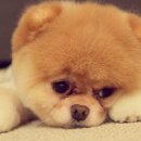 하늘비천우