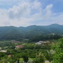 보산동 관광특구3 이미지