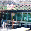 남이섬(추가) 이미지