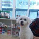 망미동물병원 이미지