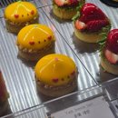 육사시미 콘서트 3 이미지