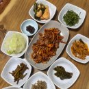 동해 효가동 시골청국장 기사식당 동해백반 청국장 오징어볶음 솔직후기