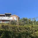 아지트 팡팡 | 분반차 정다운아지트 공주 쌀국수 맛집 해장에 딱 좋은 토마토얼큰쌀국수 추천