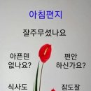제일큰건강