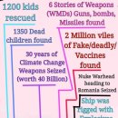 애버그린 이미지