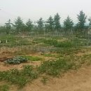 장자농장 이미지