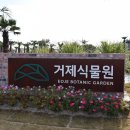 거제식물원 이미지