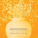 명동보리밥과 코다리 이미지