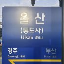 울산남구여자중장기청소년쉼터 강의 후기｜경계선 지능 청소년 사례관리에서 다시 관계를 세우는 일
