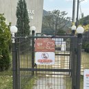 이소퍼피 강아지 남양주점 | 몽글브라운 애견카페(가격정보, 주차, 강아지 운동장 후기)