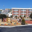 완도초등학교 앞 이미지