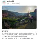 숯방 나드리 | [240406 이용후기 : 숯방나드리] 경주 전원주택 독채 펜션/울산 펜션/ 경주 10인 이상 독채 숙소 / 경주...