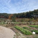 한구농장 이미지