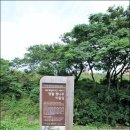 명월대 | 제주 명월리 마을 산책 -팽나무 군락지, 명월대, 명월 국민학교, 명월 성지, 옹포리 해변