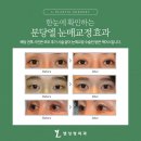 엘성형외과의원 이미지