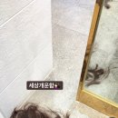 플랜에이치 신내점 이미지