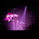 성읍리-21 이미지