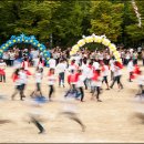 태릉초등학교 이미지