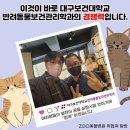 ZOO동물병원 이미지