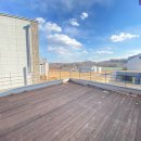 가재월리 이미지