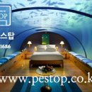 페스탑 - 서구 도요지로227번길 21-2 | 페스탑