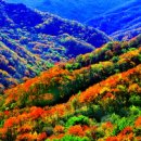 산수갑산