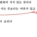 달나라의장난