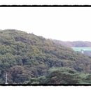 다산행정사사무소 이미지