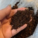 MAX | 가정용 음식물쓰레기 처리기 비교 후 선택한 미닉스 더 플렌더 MAX 후기