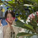 e-푸른학원 | 세부 최강 스파르타 어학원!! FELLA 1캠 방문 후기 대공개★