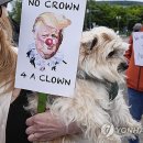 KINGs DOG 이미지