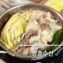 가락시장 쭈꾸미 맛집 영흥수산 알배기 쭈꾸미샤브샤브 즐기기