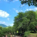 화암면 행정복지센터 주차장 이미지