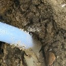 대나무집 - 남구 | 양산 식당 대나무집 누수진단 및 누수공사 후기