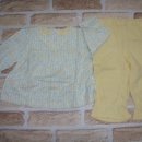 파코라반베이비 이미지