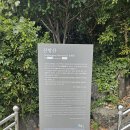 제주 산방산 암벽식물지대 | 제주도 서귀포 가볼 만한 곳 절벽위의 신비한 산방산 산방굴사