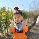 꼬마화가어린이집 이미지
