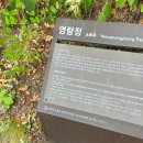 충혼비 | 속초숙소추천 신세계 영랑호리조트 키즈룸 1박, 범바위 호수길 산책 후기